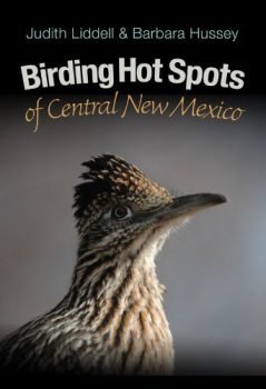 Birding Hot Spots of Central New Mexico (Volume 42) (W. L. Moody Jr. Natural History Series)