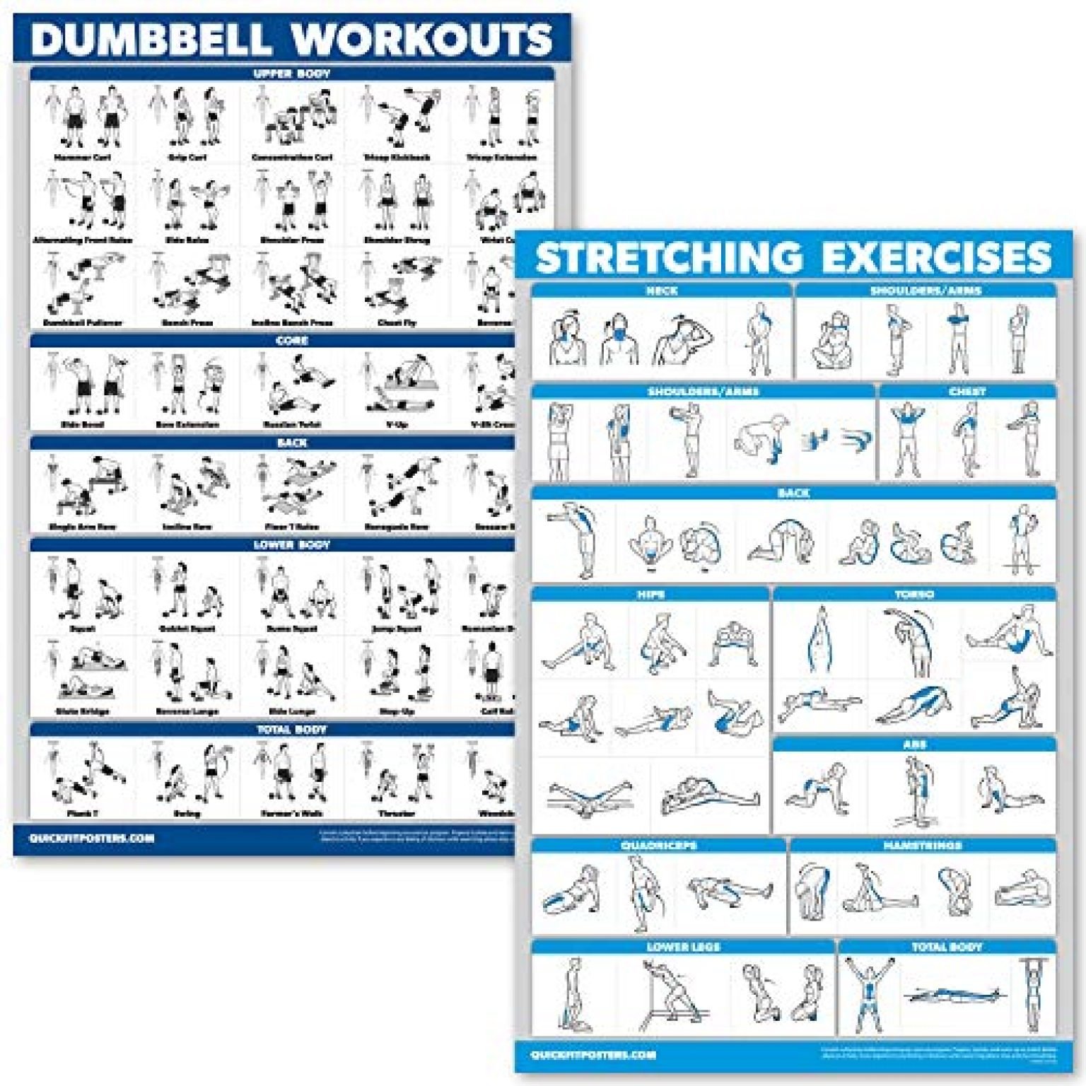 10 Best Dumbbell Exercises For Seniors — Great Answer