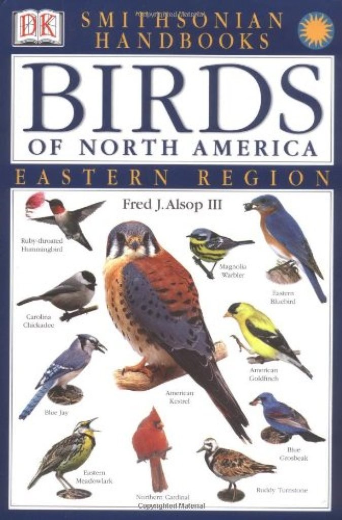 10 Best Bird Identification Book — Great Answer