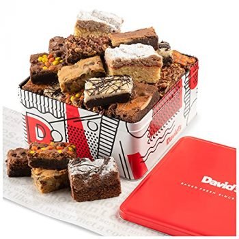 David's Cookies Assorted Brownies & Crumb Cake Tin, Delicious, Fresh Baked Snacks, Gourmet Chocolate Fudge Slices, Yummy Flavors for Every Special Occasion, 3 lb, 16 Piece