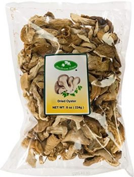 Mushroom House (MUSI1) Dried Oyster, 8 Oz