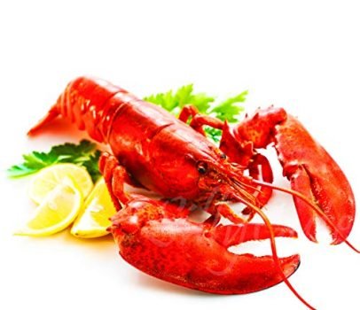 SillyCute Seafood: Live Lobsters from Maine, Alive and Kicking, 1.0~1.2 lb each, Pack of 6, Free Shipping, Overnight Delivered to Your Door