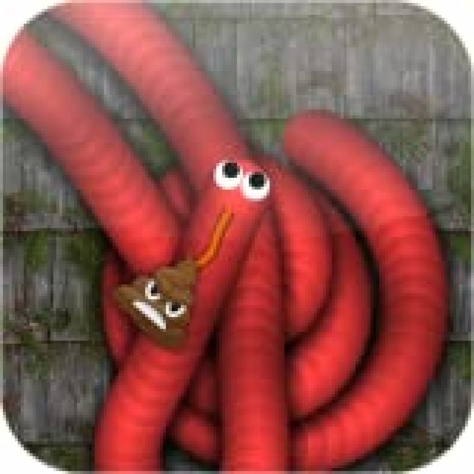 10 Best Slither Io Player — Great Answer