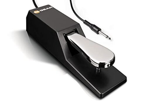 M-Audio SP-2 - Universal Sustain Pedal with Piano Style Action For MIDI Keyboards, Digital Pianos & More