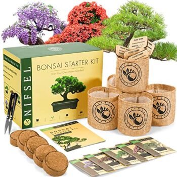 Bonsai Tree Kit, NIFSEL Bonsai Starter Kit - Mini Bonzie Growing Kit for Beginner with 5 Types of Seeds/Pots, Grow Your Own Bonsai Tree Indoor Garden, Gardening Gift for Plant Lovers Men/Women/Adults