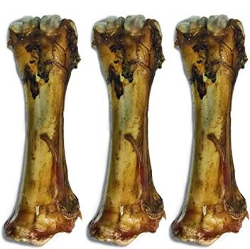 Jack&Pup 11" Shin Bones for Large Dogs | Roasted, Savory, Large Dog Bones for Aggressive Chewers (3 Bones)