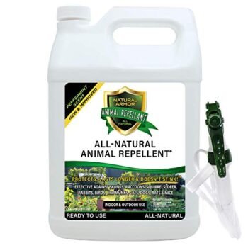 Natural Armor Animal & Rodent Repellent Spray. Repels Skunks, Raccoons, Rats, Mice, Deer Rodents & Critters. Repeller & Deterrent in Powerful Peppermint Formula – 128 Fl Oz Gallon Ready to Use