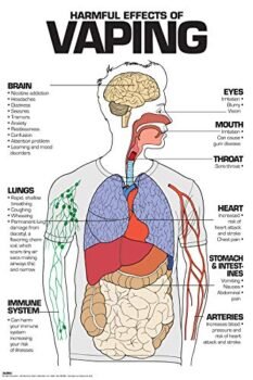 Harmful Effects of Vaping Laminated Poster (24" x 36")