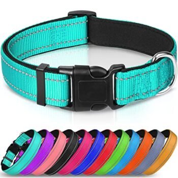 Joytale Reflective Dog Collar,Soft Neoprene Padded Breathable Nylon Pet Collar Adjustable for Large Dogs,Teal,L