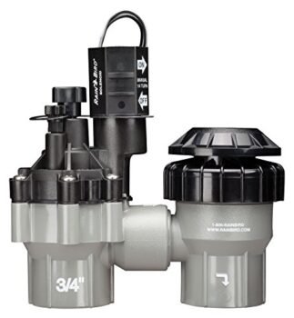 Rain Bird DASASVF075 Professional Grade Anti-Siphon Valve with Flow Control, 3/4" Threaded Female x Female, Black/Gray