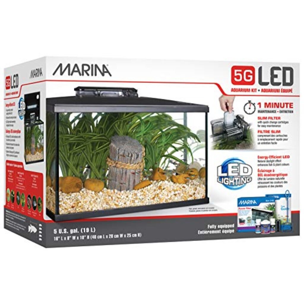 10 Best Fish Tanks For Beginners Great Answer 10-best-fish-tanks-for-beginners-great-answer