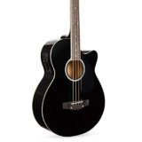 10 Best Acoustic Bass