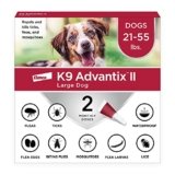 10 Best Flea And Tick Treatment For Dogs