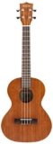 10 Best Kala Ka T Ukuleles