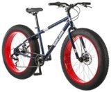 10 Best Mans Fat Tire Bikes