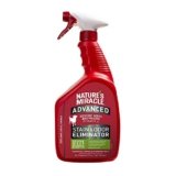 10 Best Pet Odor Removers